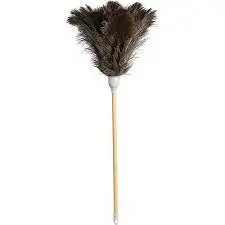 [1024] Ostrich Feather Duster