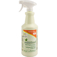 CRTO-X0D Safeblend Multi-Purpose Cleaner - Tangerine Oil 950 mL RTU